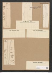 Diatomeae indet. (de-Toni-Nr.: Species 2107 var. ?) Zeichnungen Sammlung Grunow Nr. 4391 (NHMW-BOT-W0372558)